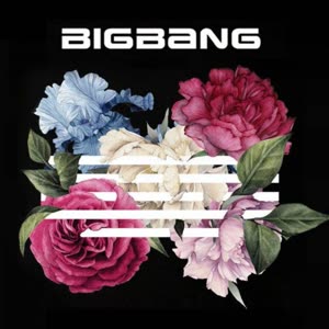 我的本命啊 七年的信仰啊 等着你们归来 继续走花路 bigbang is vip