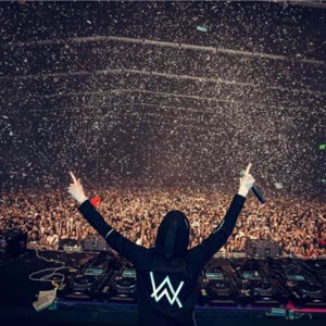 alanwalker5rr