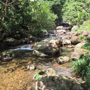 啊婆山旅游风景区