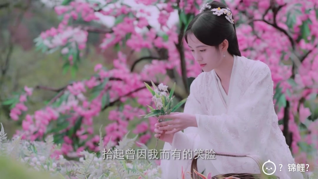 江山不换韩芸汐,此生不负鞠婧祎.