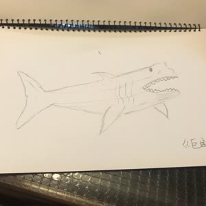 画一画大海吧#我画的巨齿鲨,请笑纳!#画一画大海吧